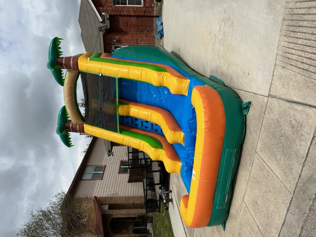 Palm Tree Slide
