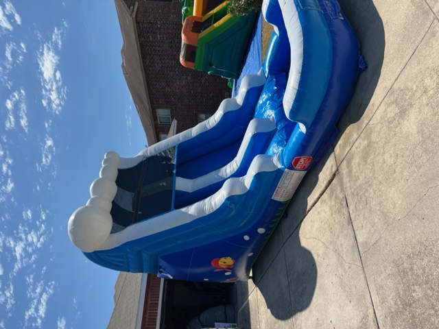 Oceanside waterslide